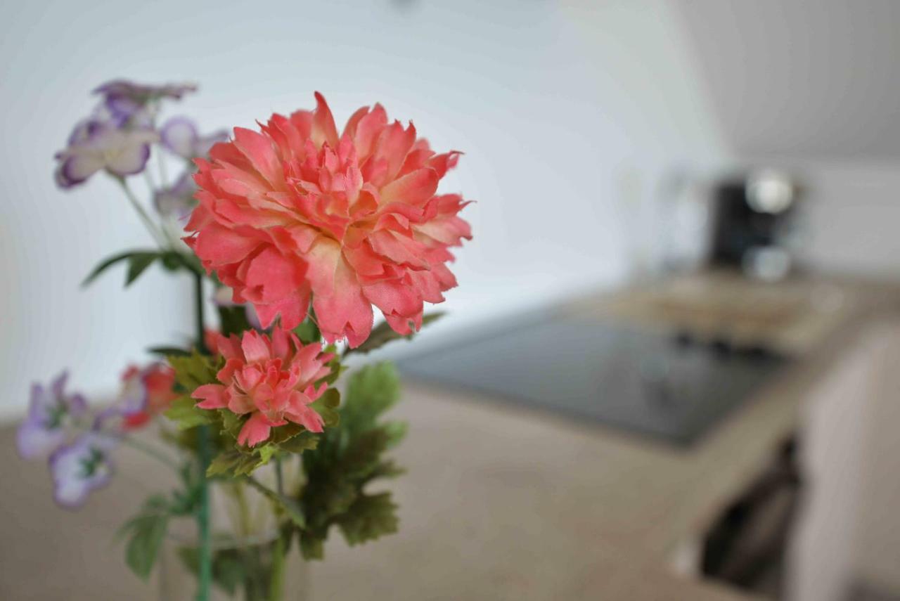 Apartmani Mikin Betina  Bagian luar foto